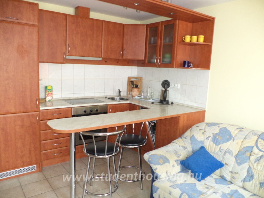 Student housing albérlet Pécs, kiadó lakás Pécs, to rent Pécs, for