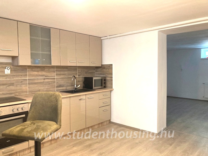 Student housing albérlet Pécs, kiadó lakás Pécs, to rent Pécs, for